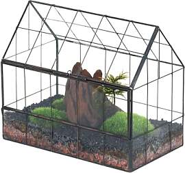 NCYP 24x14x20,6cm Glas Terrarium mit