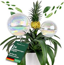 Netrox 2er Set Bewässerungskugeln Glas