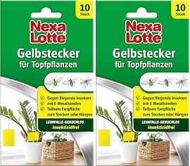Nexa Lotte Gelbstecker, Gelbsticker,