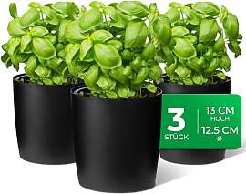 Novaliv Stilvolle 3er Set Kräutertopf aus