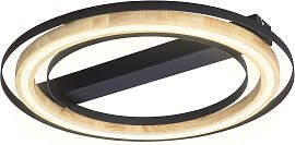 NOWA Deckenleuchte "RILAS", schwarz, 4