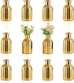NUPTIO Kleine Vasen Glas für Blumen: Satz von 12