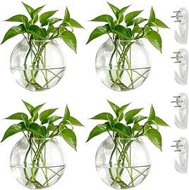 NUPTIO Wandvase für Pflanzen Innen Glas: Blumen