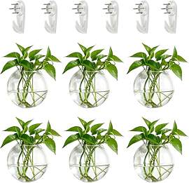 NUPTIO Wandvase für Pflanzen Innen Glas: Blumen