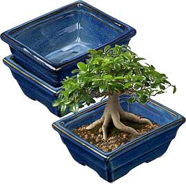Oairse 2er-Set Bonsai Keramiktopf Bonsaischale mit 