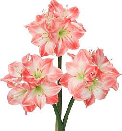 Oairse 3er-Set Kunstblumen Clivia mit 4