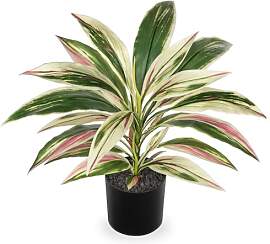 Oairse 48 cm Kunstpflanze Dracaena im Topf mit