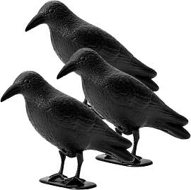 OFFO Schwarz Rabe Vogelschreck - Kunststoff