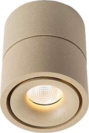 Ole 1 Deckenstrahler Champagne