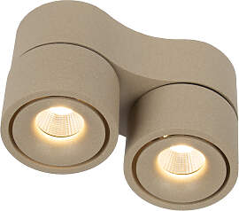 Ole 2 Deckenstrahler Champagne