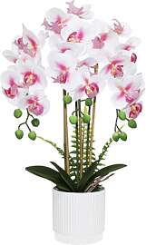 Olrla Rosa künstliche Orchideenblume, 3 Zweige im 
