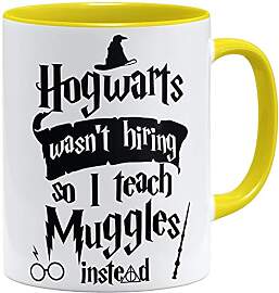 OM3® Hogwarts wasn't hiring so I teach