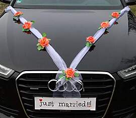 Organza M Auto Schmuck Braut Paar Rose Deko