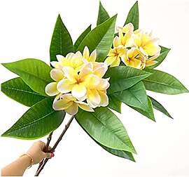 OUKEYI Künstliche Frangipani-Blumen, lebensechte