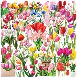 Ovanda 50 Stück Gepresste Getrocknete Blumen Set, 