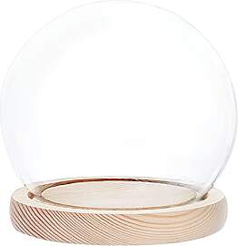 PandaHall Vitrine Aus Glas Mit Basis Aus