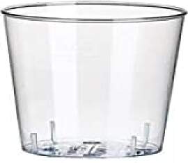 PAP Star 12158 40x Glaeser fuer Schnaps, PS 2 cl