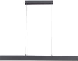 Paul Neuhaus LED-Pendelleuchte NILA 2548-13