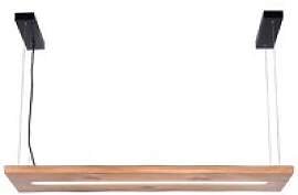 Paul Neuhaus LED-Pendelleuchte PALMA 2625-79