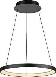 PAUL NEUHAUS Pendelleuchte "HOOP",