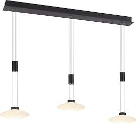 PAUL NEUHAUS Pendelleuchte "LAUTADA",