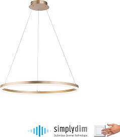 PAUL NEUHAUS Pendelleuchte "TITUS", gold 