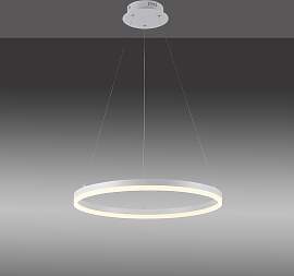 PAUL NEUHAUS Pendelleuchte "TITUS",