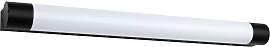 PAULMANN LED Spiegelleuchte "Selection