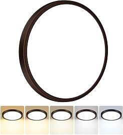 Peasur Deckenlampe LED Deckenleuchte