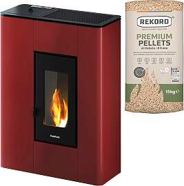 Pelletofen FREEPOINT "»Atrium 5«