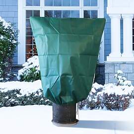 Pflanzen Winterschutz Frostschutz for