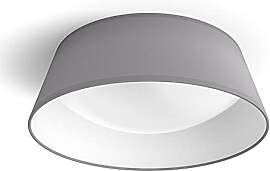 Philips myLiving LED Deckenleuchte Dawn, 14W, grau