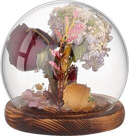 PH PandaHall Glas Cloche Glaskuppel Klare Globe