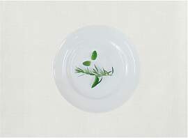 Platzset APELT "Arizona, Uni-Basic",