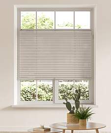 Plissee OTTO HOME "LAHOLM" Gr. 1, beige