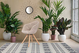 Polsterstuhl KAYOOM "Stuhl Chadwick 110