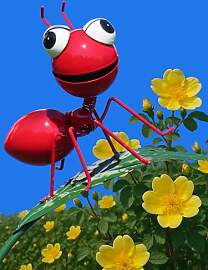 Pommerntraum ® | Regenmesser Niederschlagsmesser