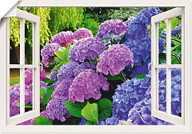 Poster ARTLAND "Fensterblick Hortensien im
