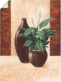 Poster ARTLAND "Spathiphyllum -