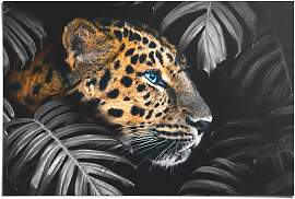 Poster REINDERS "Leopard Jungle - Eyecatcher