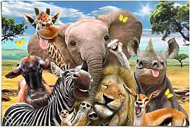 Poster REINDERS "Lustige Wildtiere",