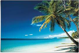 Poster REINDERS "Palme am Strand", blau