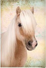 Poster REINDERS "Pony Liebe", braun