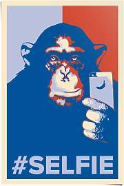 Poster REINDERS "Selfie Affe", blau
