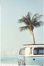Poster REINDERS "Surfer Sommer", blau