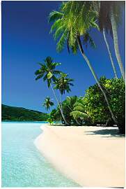 Poster REINDERS "Traum Strand", blau