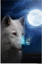 Poster REINDERS "Weißer Wolf", blau