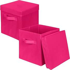 powerking Aufbewahrungsbox Behälter, 2 Pack