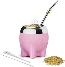 Premium Yerba Mate Tasse, 5-in-1-Set, inklusive