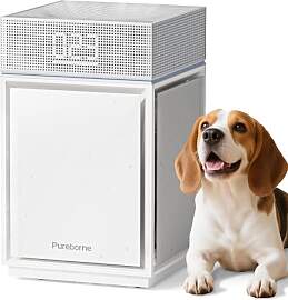 Pureborne Luftreiniger Allergiker für